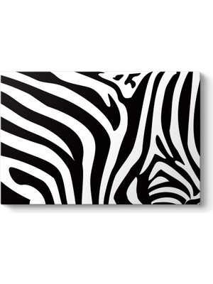 Tabloshop Zebra Deseni Vektörel Tablo