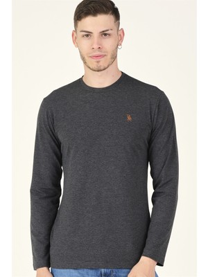 T8588 DEWBERRY BİSİKLET YAKA UZUN KOL T-SHIRT-ANTRASİT