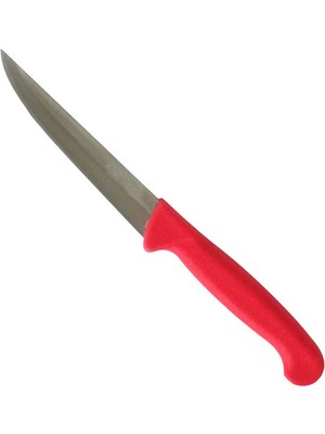Çetintaş Paslanmaz Bursa Sebze Bıçağı 12 cm Plastik Sap
