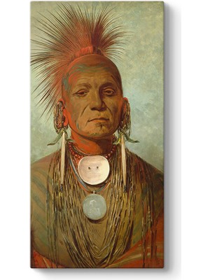 Tabloshop George Catlin - Medicine Man Kanvas Tablo