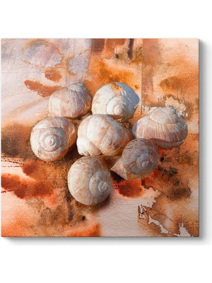 Tabloshop Deniz Kabuğu Soyut Tablosu