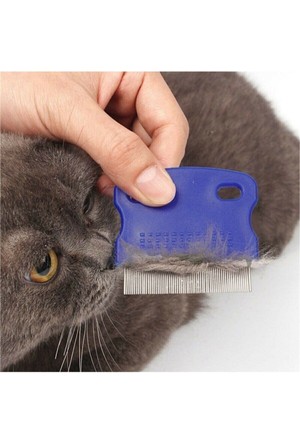 Pire Taragi Fiyatlari Ve Modelleri Hepsiburada Pire Taragi Fiyatlari Ve Modelleri Hepsiburada