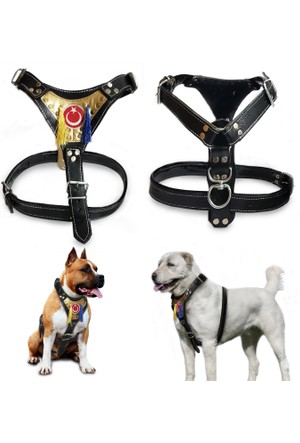 Endiket Kopek Tasmalari Ve Malzemeleri Hepsiburada Com