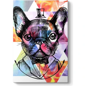 King French Bulldog