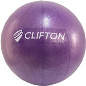 Pilates Topu 25 cm Deluxe Pilates Topu +Pompa(Mor )