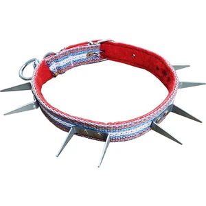 Köpek Boyun Tasması Küçük Boy 3cm x 60CM U Çivili Kangal Kurt Tasması Kayış Ayarlanabilir Dokuma