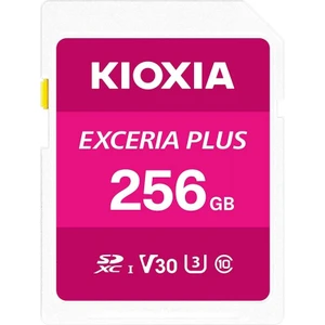 LNPL1M256GG4 256GB Normal SD Exceria Plus C10 U3 V30 Uhs1 R98 Hafıza Kartı