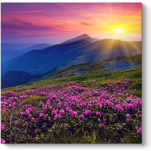 Kır Çiçekleri Duvar Tablosu