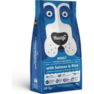 Somonlu ve Pirinçli Orta ve Büyük Irk Yetişkin Köpek Maması 15KG