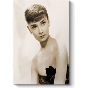 Audrey Hepburn Tablosu