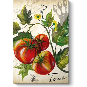 Domates Vintage Tablo
