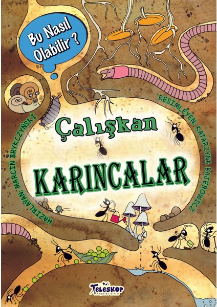 Çalışkan Karıncalar – Bu Nasıl Olabilir? - Marcin Brykczynski