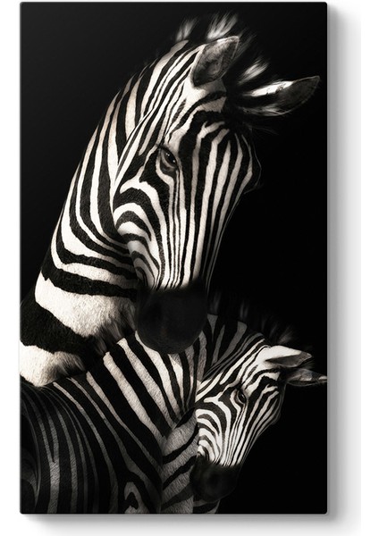 Desenli Zebra Tablosu