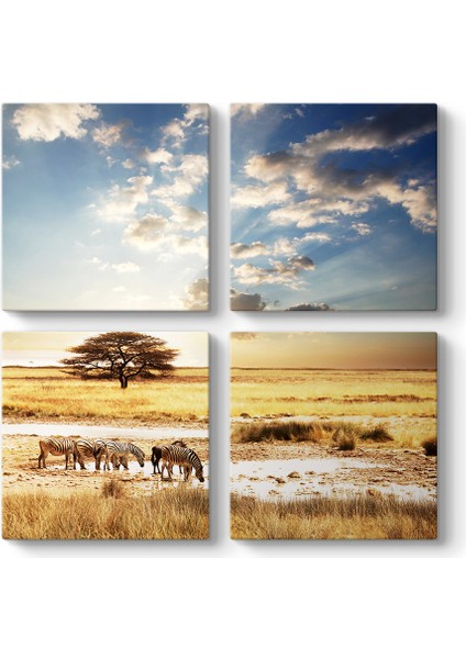 Afrika Zebra Tablosu