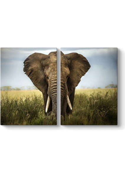 Doğadaki Fil Tablosu