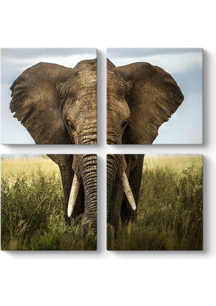 Doğadaki Fil Tablosu