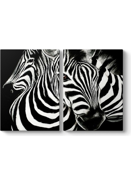 Siyah Beyaz Zebra Tablosu