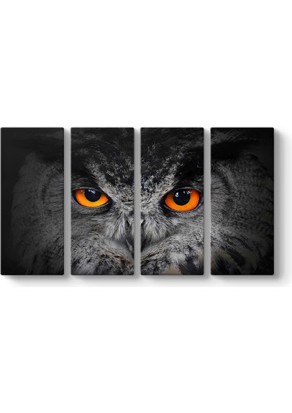 Baykuş Gözleri Tablosu