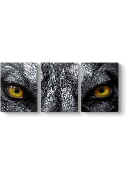 Kurt Gözleri Tablosu