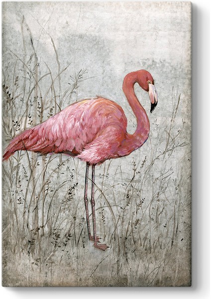 Amerikan Flamingo Tablosu