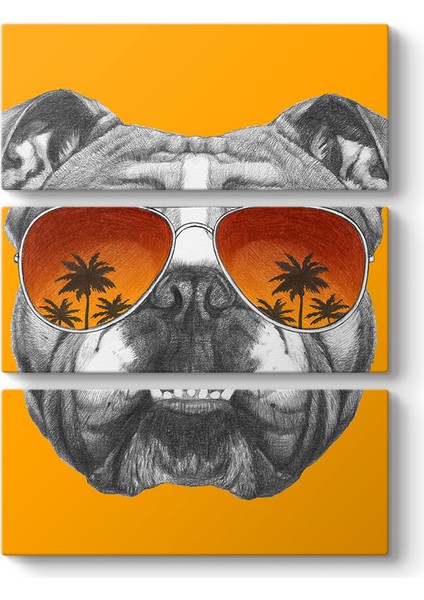 Ingiliz Bulldog Tablosu