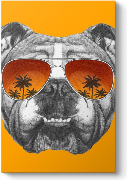 Ingiliz Bulldog Tablosu