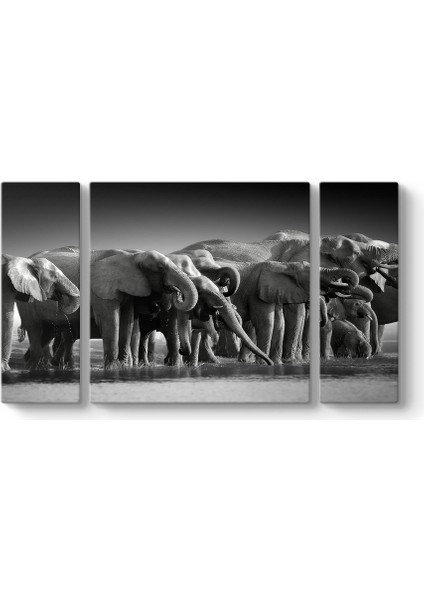 Fil Sürüsü Tablosu