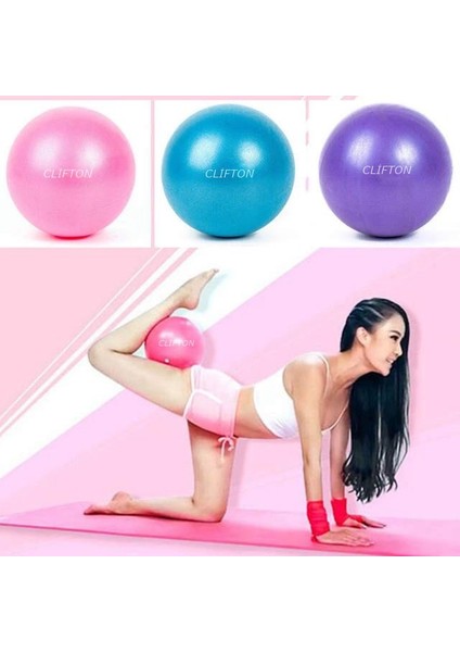 Pilates Topu 25 cm Deluxe Pilates Topu + Pompa ( Pembe )