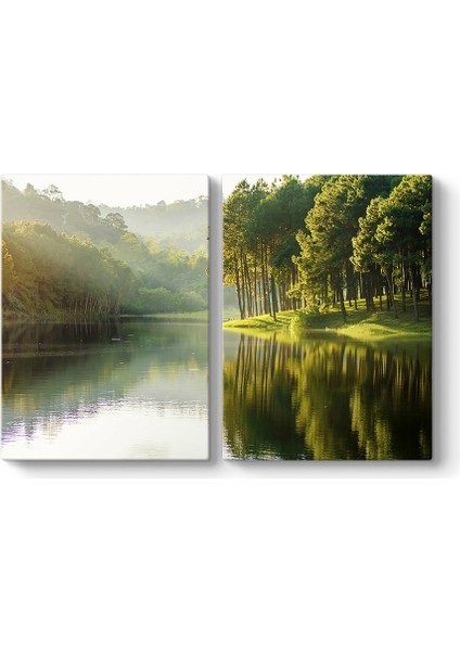 Güneş Işınları Ağaçlar Tablosu