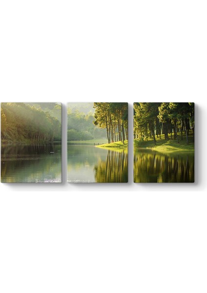 Güneş Işınları Ağaçlar Tablosu