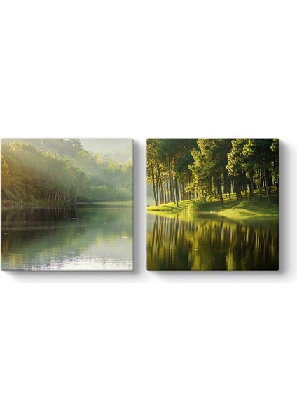 Güneş Işınları Ağaçlar Tablosu