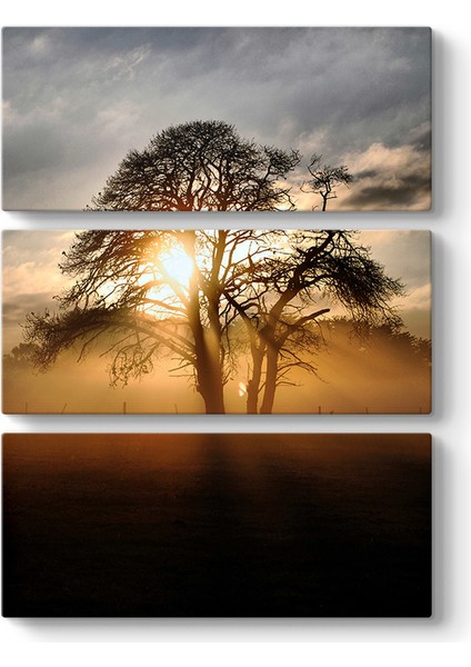 Ağaç ve Güneş Tablosu