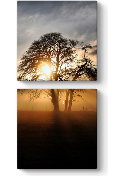 Ağaç ve Güneş Tablosu