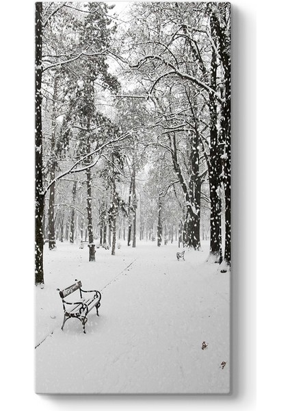 Kar Yağışı Manzara Tablosu