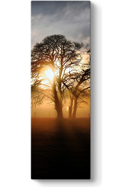 Ağaç ve Güneş Tablosu