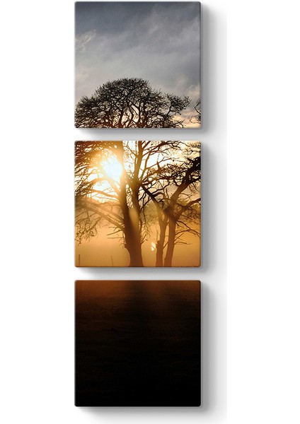 Ağaç ve Güneş Tablosu