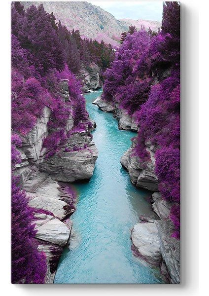 Lavanta Kanyon Tablosu