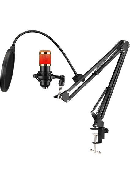 USB Kondenser Mikrofon Rgb Renkli Işıklar Tripod Standlı (Yurt Dışından)