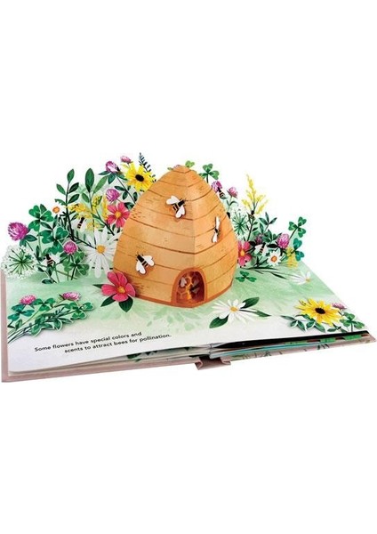 Flora: Pop-Up Book