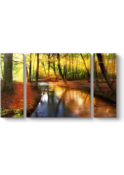 Akarsu Orman Tablosu