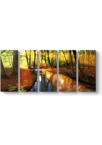 Akarsu Orman Tablosu