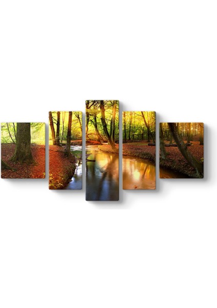 Akarsu Orman Tablosu