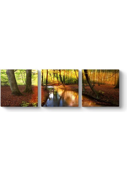 Akarsu Orman Tablosu