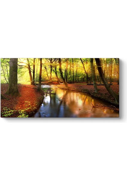 Akarsu Orman Tablosu