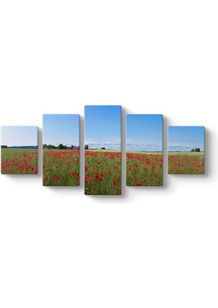 Gelincik Bahçesi Tablosu