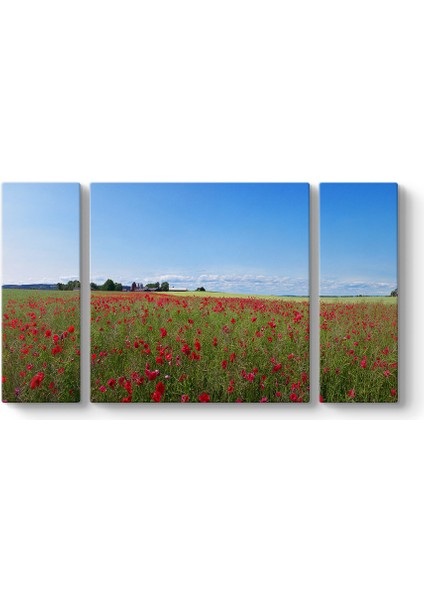 Gelincik Bahçesi Tablosu