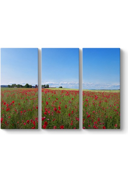 Gelincik Bahçesi Tablosu