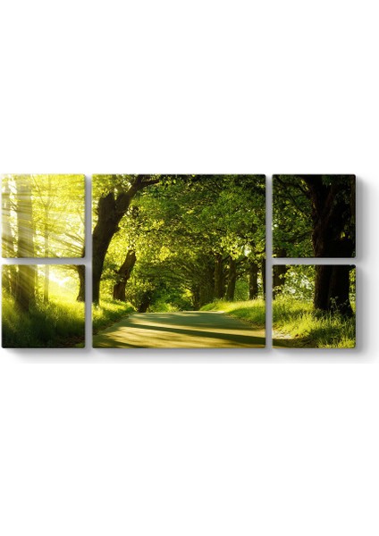 Yeşil Yol Panorama Tablosu
