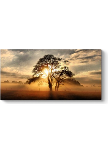 Ağaç ve Sis Tablosu