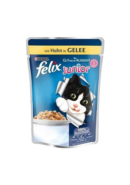 Purina Felix Yavru Kedi Yaş Maması 100 gr